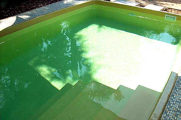 piscina algas