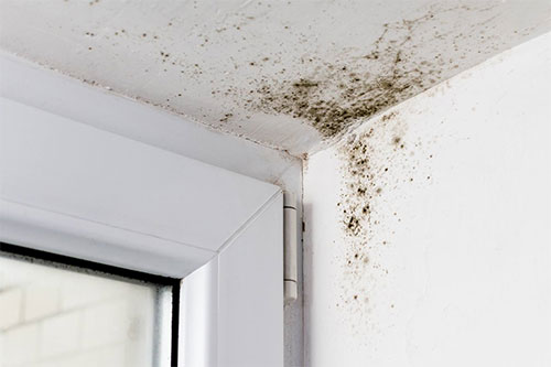 Humedad con moho por condensación en techo vivienda